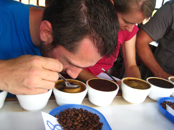 Cupping Coffee at the Beneficio Las Segovias in Nicaragua