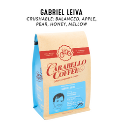 Gabriel Leiva