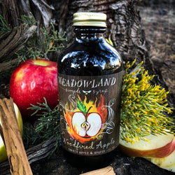 Apple syrup with apple slices and cinnamon sticks 
