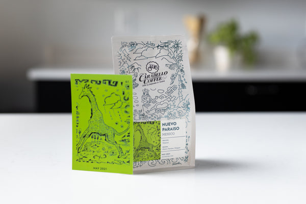 Coffee of the Month Gift Subscription - 6 Months